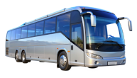 Автобусы